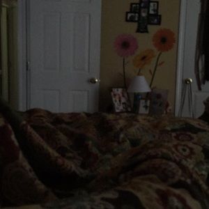 Meet your Posher, Ebony